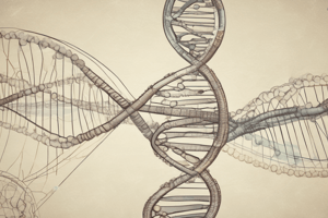 Human Anatomy and Physiology Chapter 4: DNA and Genetic Code