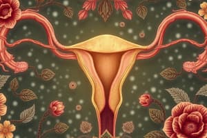 Human Reproductive System Overview