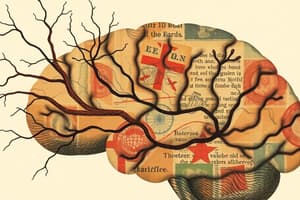 Nervous Tissue Overview