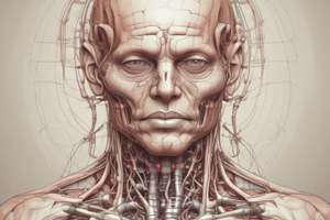 Physiology of Micturition and Voiding Disorders