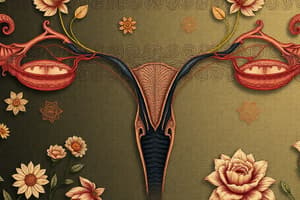 The Reproductive System Quiz