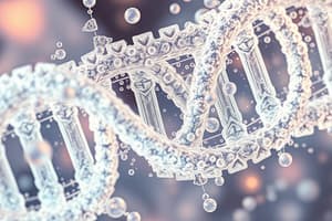 Elektroforeesi DNA-analyysissä