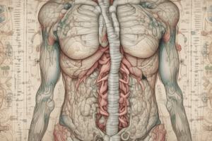 Thyroid Gland Function Quiz