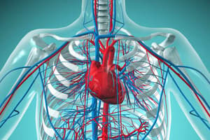 Cardiovascular System Part 1