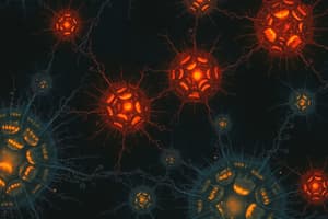 Neuroscience Quiz: Glial Cells and Neural Circuits