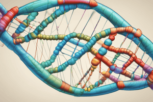 DNA Replication Process