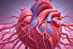 4)Cardiovascular Histology - Wall Structure and Function