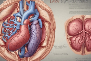 Functions of the Liver in the Gastrointestinal System