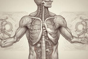 Respiratory System: Types of Pressure