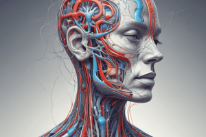 Trigeminal Neuralgia (Tic Douloureux) - Peripheral Nerve Pathologies