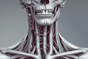 Larynx Overview: Laryngeal Cartilages