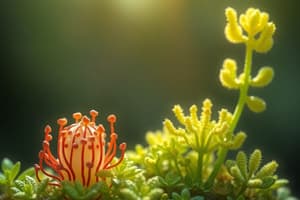 Introduction to Plants and Bryophytes