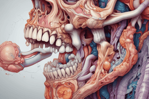 Anatomy of Taste Buds and Papillae