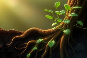 Biology: Plants and Roots Overview