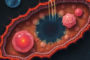 Cell Structure and Function Quiz