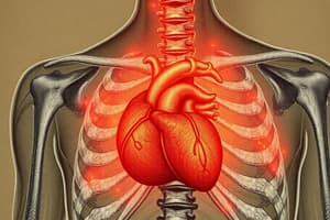 Thoracic Spine: Pathologies and Referral Patterns