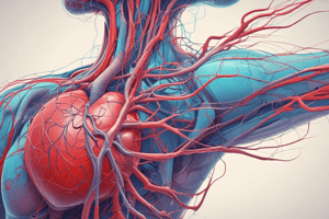 Circulatory System Parts Overview