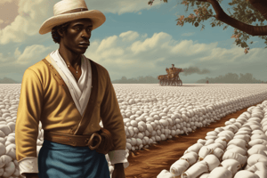 US Slave Trade and Its Economic Impact