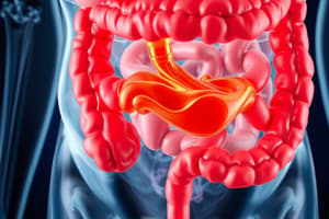 Obstrucción Gastrointestinal y Billroth 2