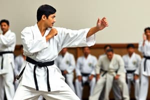 Karatê Shotokan: Questões de Graduação