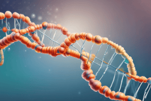 DNA Structure and Stability