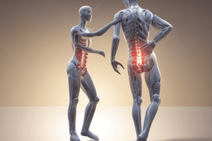 Types of Low Back Pain