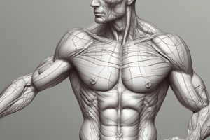 Subcutaneous vs Visceral Fat: Location and Functions