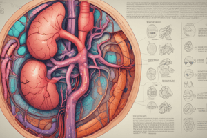 Diets and Kidney Function in Medicine