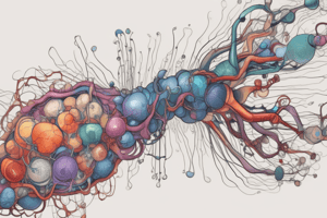 ACh Synapse and Neurotransmitters