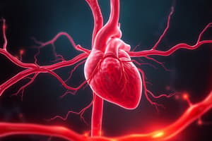 Cardiovascular System Overview