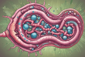 Lipid Digestion: Enzymes and Bile Salts