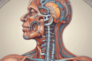 Introduction to Respiratory System