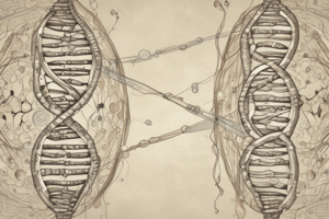 Chromosomal Deletions and Syndromes