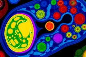 Gastrulation and Germ Cell Formation