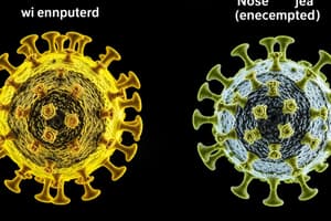 Viral Structure and Classification