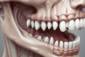 Mandibular First Premolar Characteristics