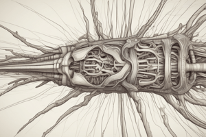 Anatomy of the Spinal Cord - Trinity College Dublin