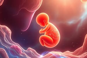 Prenatal Development and Embryology