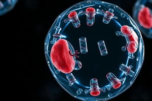 The Eukaryotic Cell Cycle