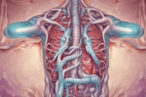 Pulmonary System: Gas Exchange Process