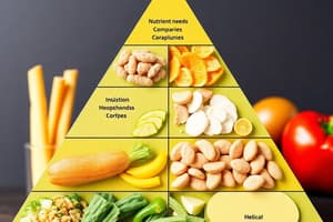 Nutrient Needs: Factors, Guidelines & Food Pyramid