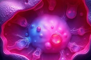 Epithelial Tissue: Functions and Classifications