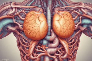 MBBS Year 1 Gastrointestinal Lectures