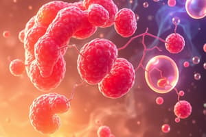 Insulin and Fatty Acid Metabolism