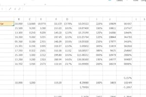 Spreadsheet Cell Formatting