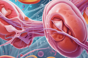 Pathophysiology of Acute Kidney Injury in Veterinary Medicine