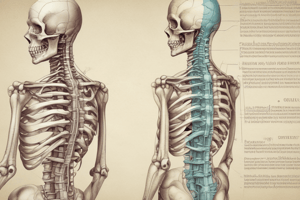 Traumatología: Columna Vertebral Tema 16