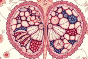 Biology Tissue Types Quiz