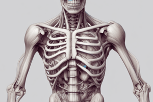 Skeletal Muscle Development in Vertebrates