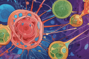 Protein Targeting in Eukaryotic Cells